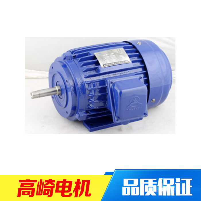 CK成功型水泵马达